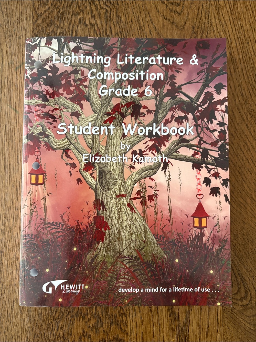 NEW Lightning Literature & Composition Grade 6 Student Workbook Homeschool